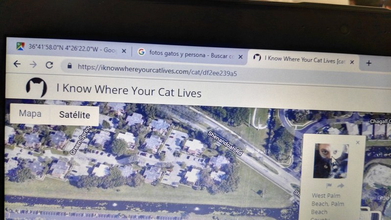 IMG 20181129 131053 [1600x1200]